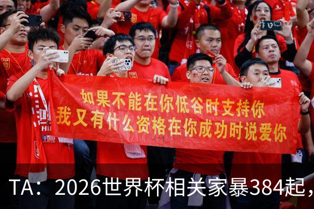 TA：2026世界杯相关家暴384起，创英格兰威尔士纪录